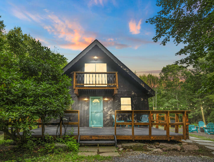 Wilderkaat | Catskills